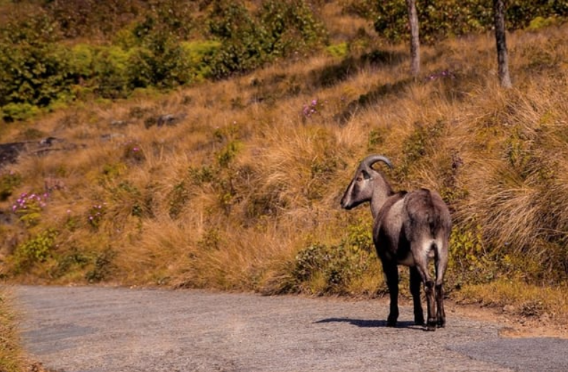 Kerala Set to Become First State to Publish PBR.
