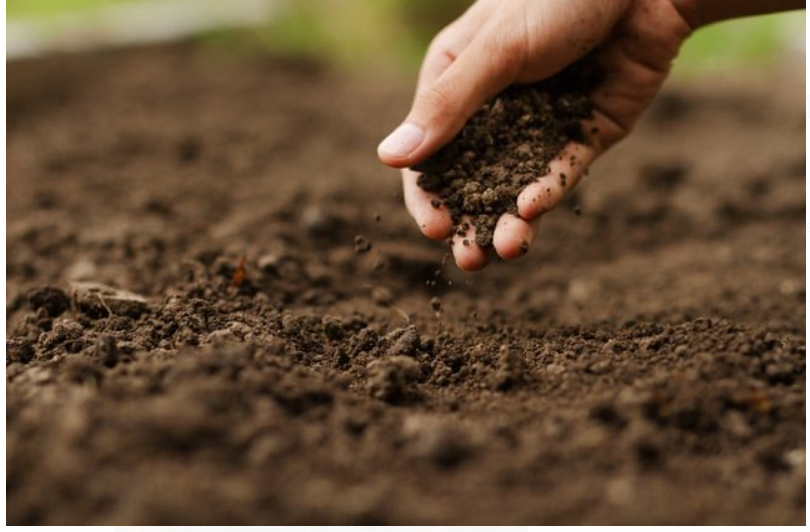 UNESCO Unveils New World Soil Health Index at International Conference on Soils in Morocco.