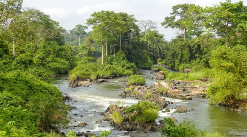 Ivory Coast Becomes 53rd Country to Join UN Water Convention.
