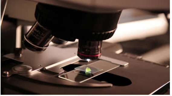 First-ever UN international day of science, technology, and innovation for the south-16 is celebrated on 16 September 2024.