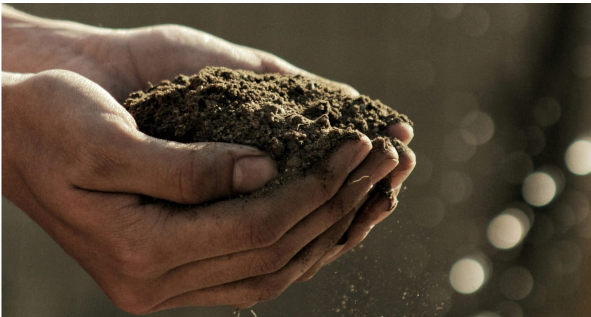 United Nations Development Programme (UNDP) and International Organization for Standardization (ISO) Launch World’s First Guidelines to Accelerate Contributions to Sustainable Development Goals (SDGs).