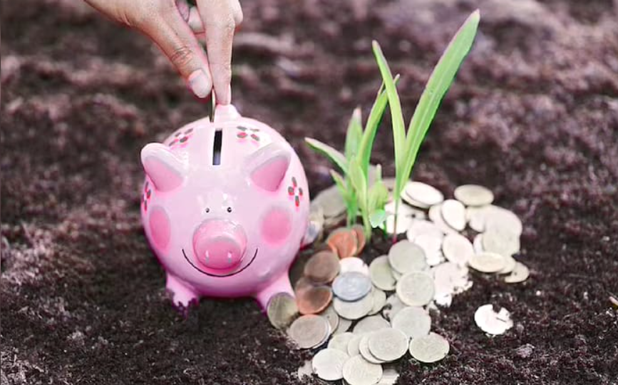 MoF keeps interest rates on small savings schemes unchanged for Q3 FY25.
