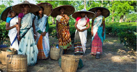 International Day of Rural Women 2024 is observed on October 15.
