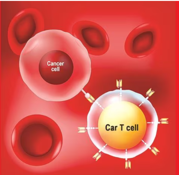 ICMR Study Projects Significant Increase in Cancer Cases and Deaths in India and BRICS Nations by 2045.
