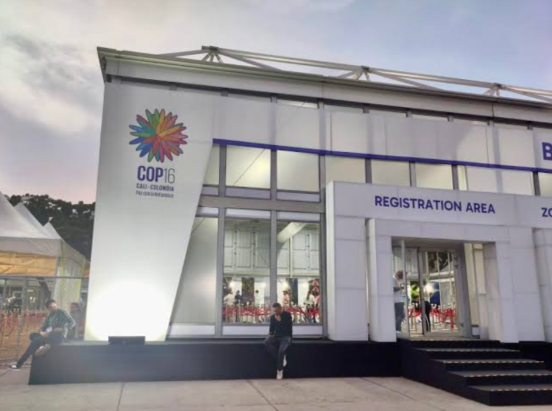 The 16th Meeting of the Conference of the Parties to the Convention on Biological Diversity (CBD COP) Took Place in Cali, Colombia.