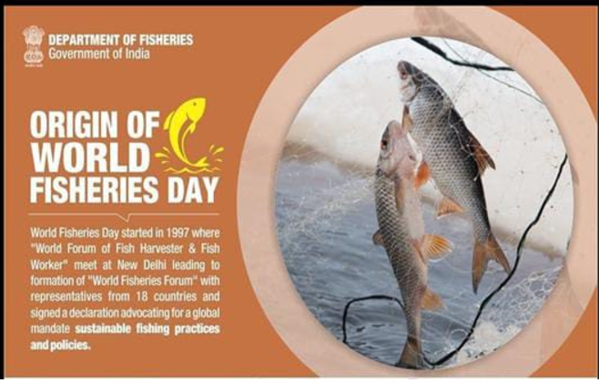 World Fisheries Day is celebrated on 21 November 2024.
