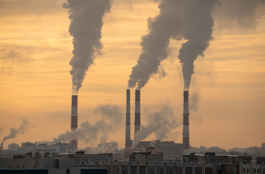 India has submitted its fourth Biennial Update Report (BUR) to the United Nations Framework Convention on Climate Change (UNFCCC).