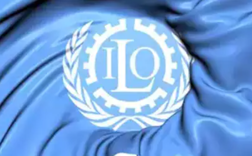 ILO's WESO Report 2025 Highlights Global Unemployment Slowdown at 5%.