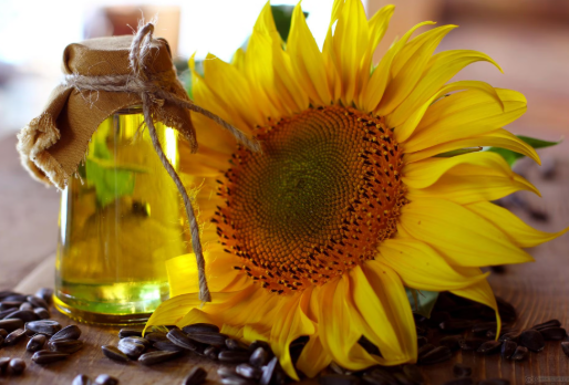 India's First Edible Oil Consumption Survey Conducted by MoA&FW.