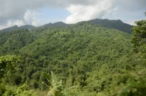 Nagaland Forest Management Project Wins the SKOCH Award.
