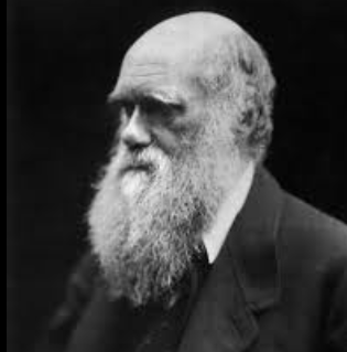 International Darwin Day Observed on 12 February 2025.