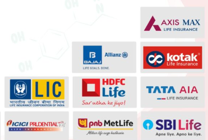 India's Leading Life Insurers in 2025: HDFC, Max Life, and LIC Rank Top in Claim Settlements.