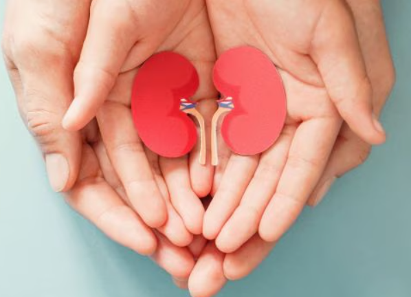 World Kidney Day Observed on 13 March 2025.