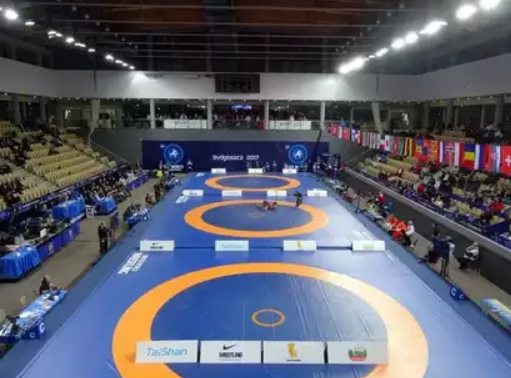 India Won 10 Medals at 2025 Asian Wrestling Championships, Manisha Bhanwala Clinches Gold.