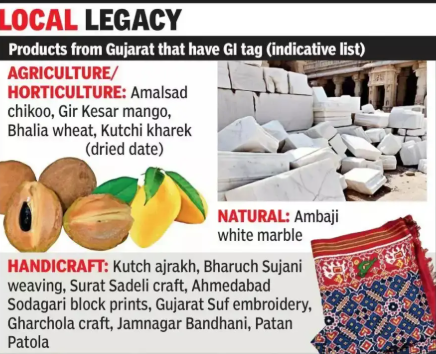 Gujarat's Famous ‘Amalsad Chikoo’ Recently Awarded GI Tag for Its Unique Agricultural Identity.