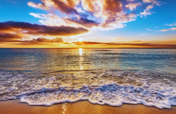 ‘Revive Our Ocean’ Global Initiative Launched to Empower Coastal Communities in Marine Protection.