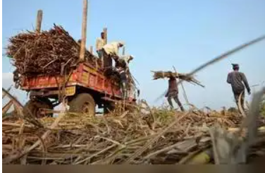 Union Cabinet Approves Caste Census Inclusion, Sugarcane FRP Hike, and Meghalaya-Assam Greenfield Expressway Project.