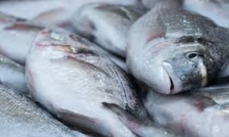 World Tuna Day 2025 Observed on May 2 to Promote Tuna Conservation.