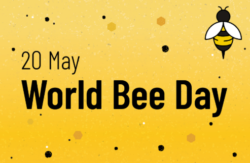 World Bee Day 2025 Observed on May 20 to Raise Awareness on Pollinators and Biodiversity.