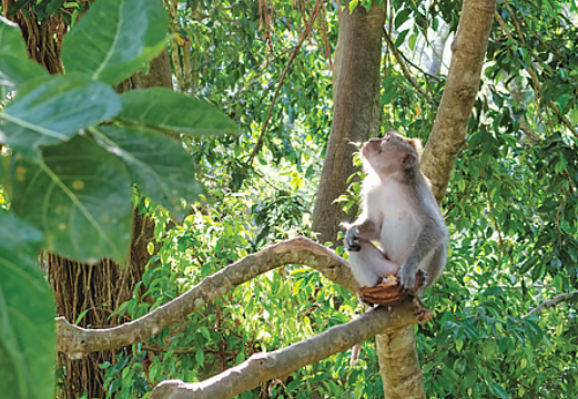 WOAH Report: Animal Diseases Expanding to New Areas, Nearly 50% Pose Risk to Human Health.