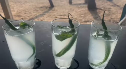 Goa’s Heritage Drink Feni Secures Geographical Indication (GI) Tag Status.