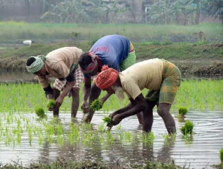 India’s Farm Output Reaches ₹29.49 Lakh Crore in FY24, Shows NSO Report.