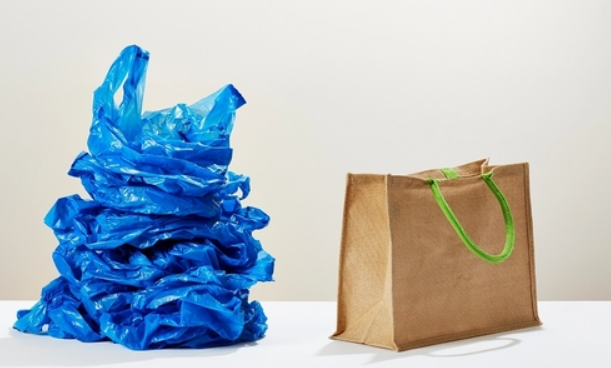 International Plastic Bag Free Day 2025 Observed Globally on July 3.