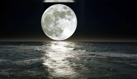 International Moon Day is celebrated on 20 July 2025.
