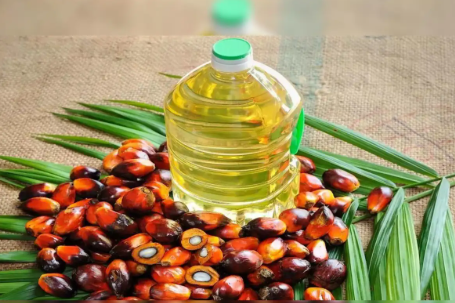 India’s Palm Oil Imports Fell 10% in July 2025 While Soyoil Shipments Rose 38% to Three-Year High.