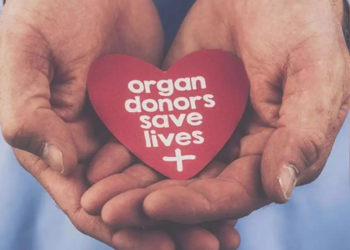 Indian Organ Donation Day 2025 Observed on August 3 to Mark India’s First Deceased Organ Transplant.