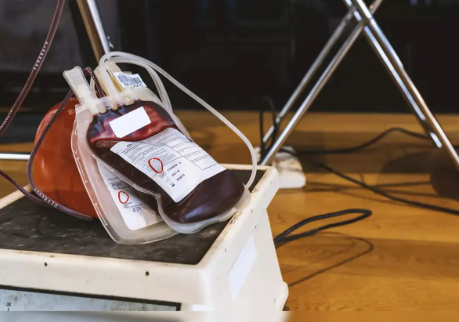 India Launches First-Ever National Guidelines for Animal Blood Banks and Transfusion.