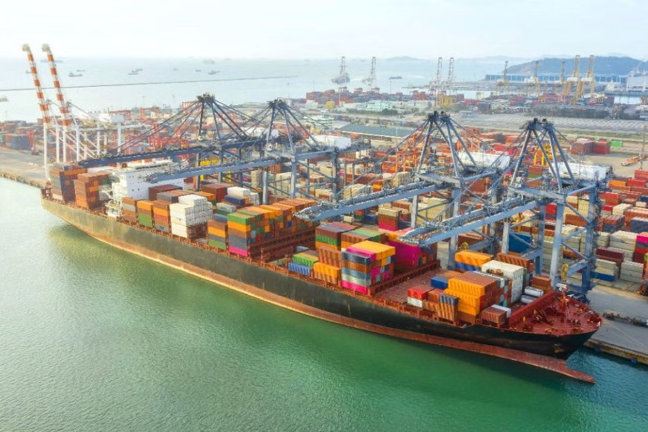 India and FAO Partner to Develop Blue Port Infrastructure through Technical Cooperation Programme.