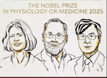 Nobel Prize in Physiology or Medicine 2025 Awarded to Shimon Sakaguchi, Mary E. Brunkow, and Fred Ramsdell.