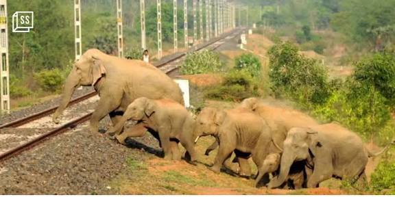 Indian Railways extends AI-based "Gajraj Suraksha" to 10 more elephant corridors.